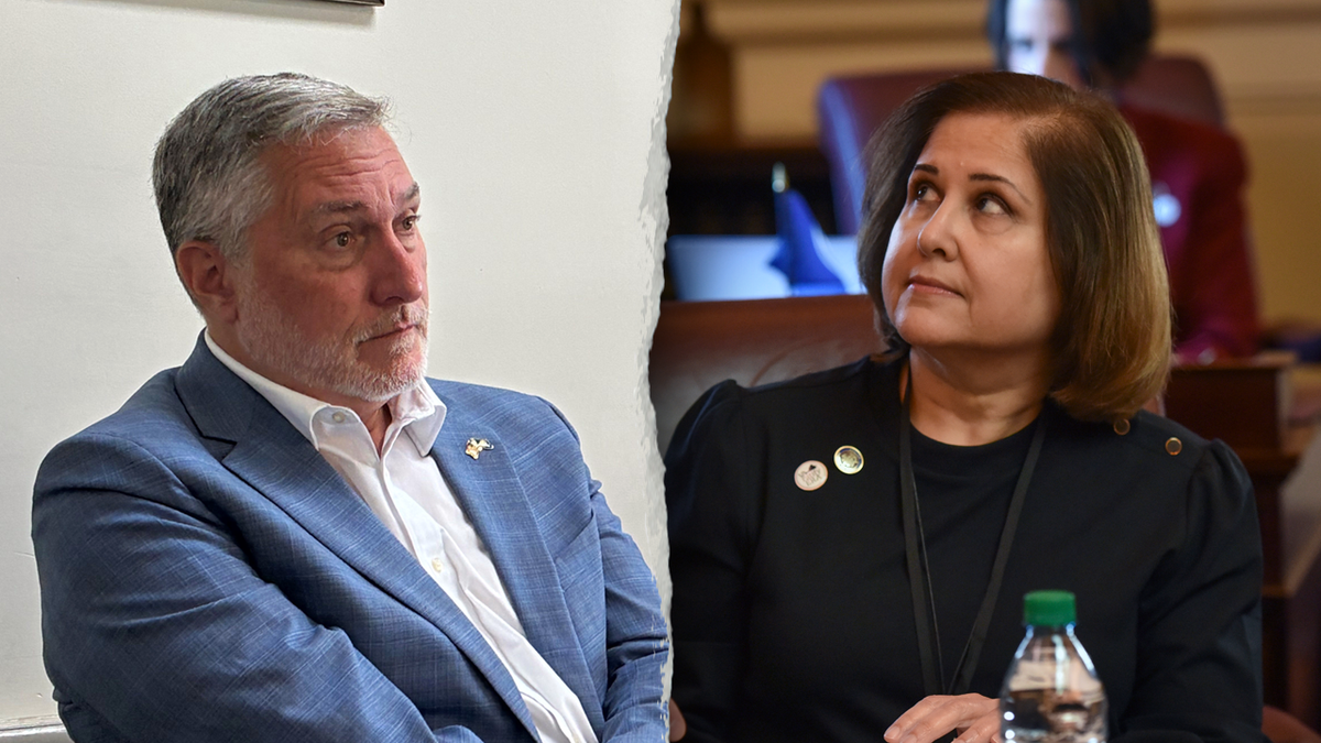 Lt. Gov. candidate John Reid and Ghazala Hashmi look at each other in a composite