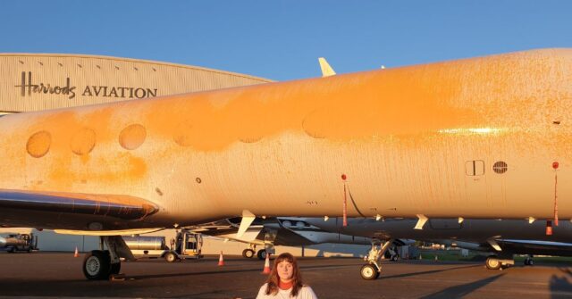 Green Activists Who Tried to Vandalise Taylor Swift's Jet Spared Jail