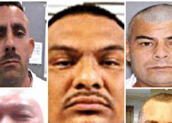 ICE Arrests Convicted Killers, Sex Offenders, Robbers Across U.S.