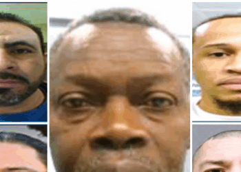 ICE Arrests Illegals Convicted of Child Sex Crimes, Fentanyl Trafficking