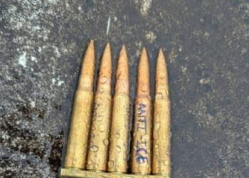 ICE Shooting Might Be 'More About Notoriety than Ideology', 'Can Be Difficult to Label' Motives