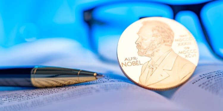 Nobel Prize in economics, lessons for AI