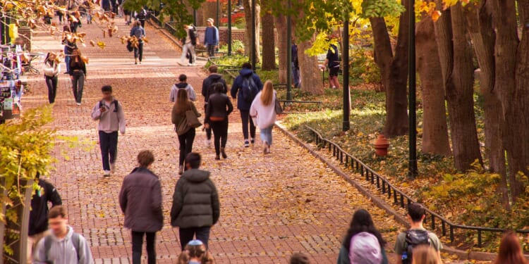 Introducing the City Journal College Rankings