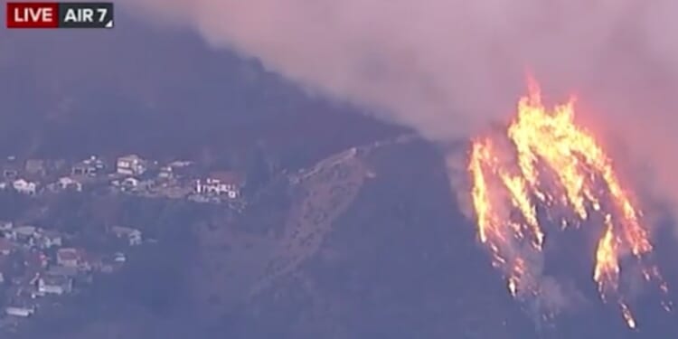 JUST IN: Arrest Made in Connection to Deadly Palisades Fire | The Gateway Pundit