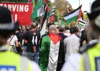 Jewish Man Arrested While Wearing Star of David at Pro-Palestine Protest
