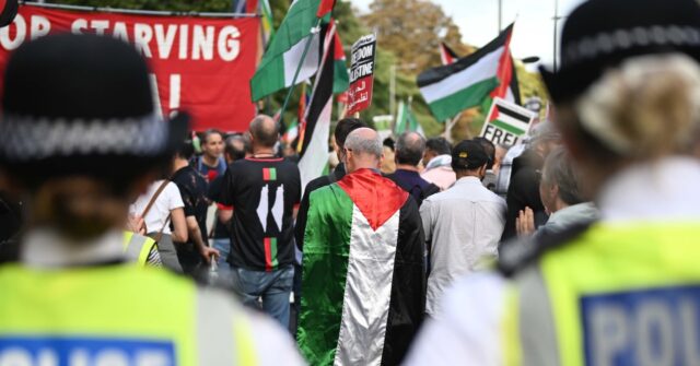 Jewish Man Arrested While Wearing Star of David at Pro-Palestine Protest