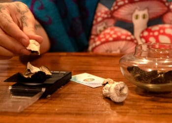 Legalizing Psychedelics Would Make New York State Worse Off