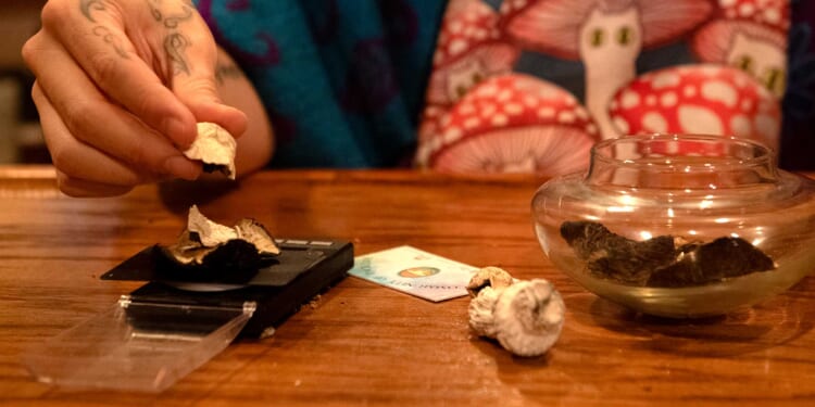 Legalizing Psychedelics Would Make New York State Worse Off