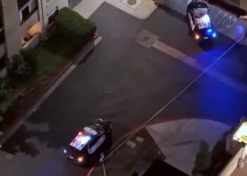 Mitt Romney's Brother Was Fighting to Make Sure Estranged Wife Was Awarded NOTHING in Bitter Divorce Battle Just Months Before She Plunged to Her Death | The Gateway Pundit