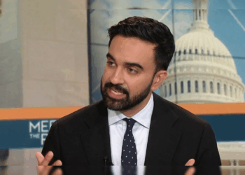 New Report Uncovers Zohran Mamdani Took $13,000 in Illegal Donations | The Gateway Pundit