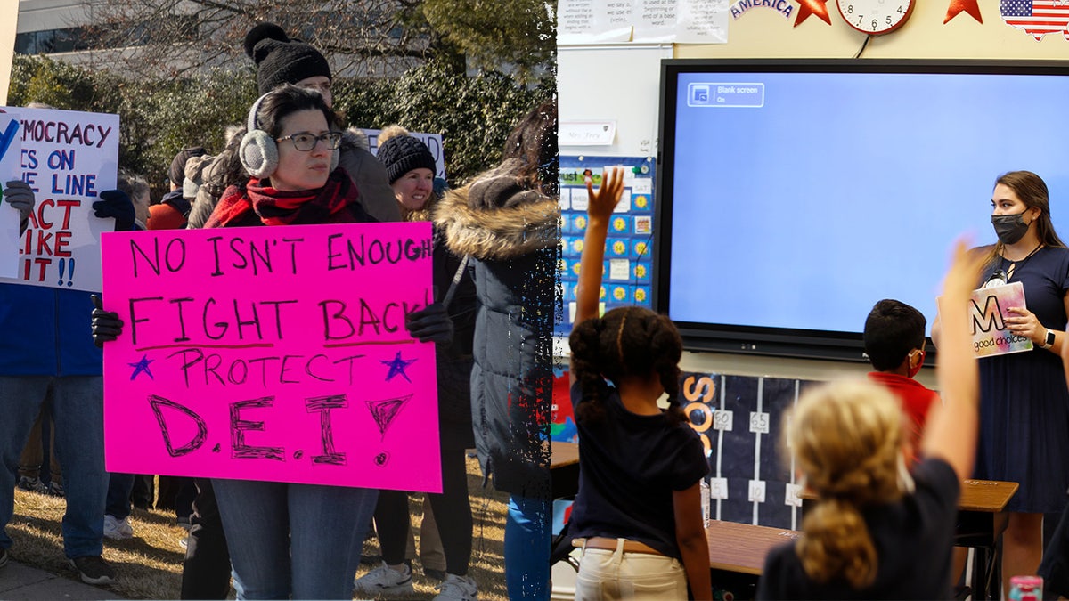 Pro-DEI protester and classroom split