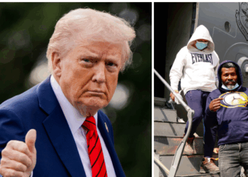 'Record-Breaking Statistics:' Over Half a Million Illegals Deported Under Trump