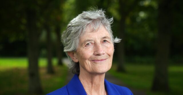 Socialist Catherine Connolly Wins Irish Presidential Election