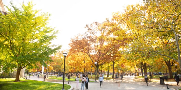 “Socioeconomic Preferences” Are Just Pretexts for Affirmative Action