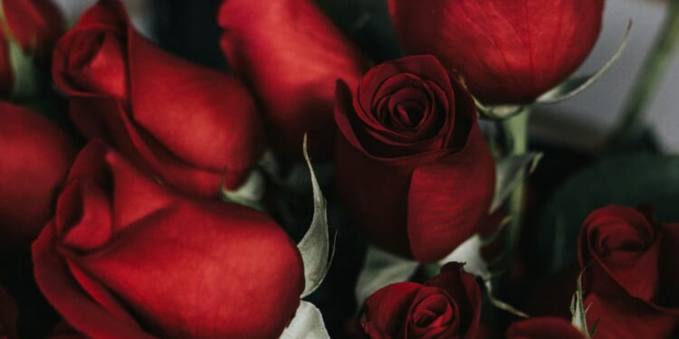 St. Thérèse of Lisieux: An Intercessor for Priests