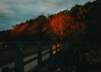 Suicidal Despair and the Salvific Grace of Christian Hope