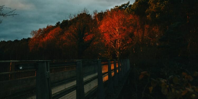 Suicidal Despair and the Salvific Grace of Christian Hope