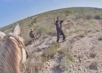 Texas DPS Mounted Patrol and K9 Unit Track Illegal Alien Felon with Numerous Previous Deportations (VIDEO) | The Gateway Pundit