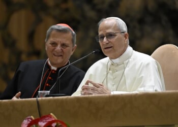 There’s no template for synodality across all countries – Catholic World Report