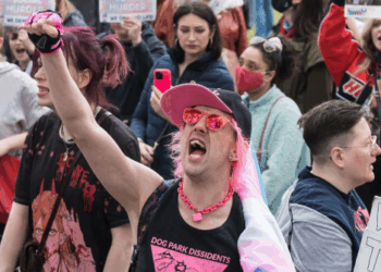 Trans Americans Threaten to Leave Country. Trump Voters Say 'I Voted for This'