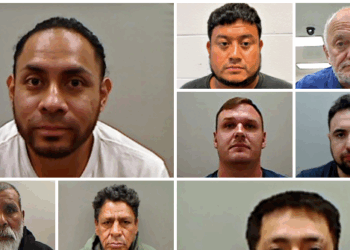 Trump's ICE Arrests Over 800 Illegals Across Sanctuary State Illinois
