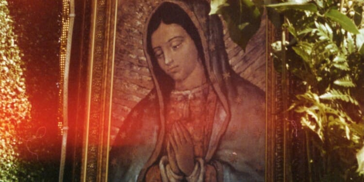 Understanding Divine Providence Through Our Lady