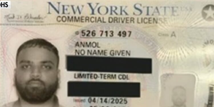 (VIDEO) ICE Director Todd Lyons Discusses Illegal Alien who was Found in Oklahoma with New York Commercial Drivers License that Read “No Name Given” | The Gateway Pundit