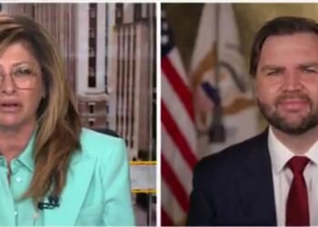 Vice President Vance Weighs in on President Trump's Historic Peace Deal in Gaza (VIDEO) | The Gateway Pundit