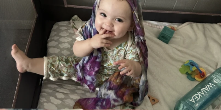 What to know – Catholic World Report