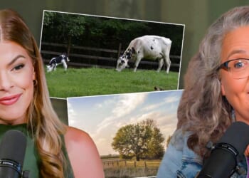 ‘Franken-wheat’: The real reason Americans can’t eat bread anymore