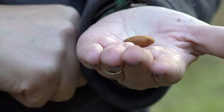 California farmers push back on Prop 50 redistricting plan