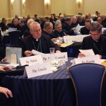 America’s Most Fruitful Dioceses: A Look at the Numbers