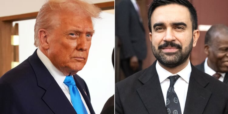 President Trump said that any Jewish person who votes for Mamdani is 'stupid'