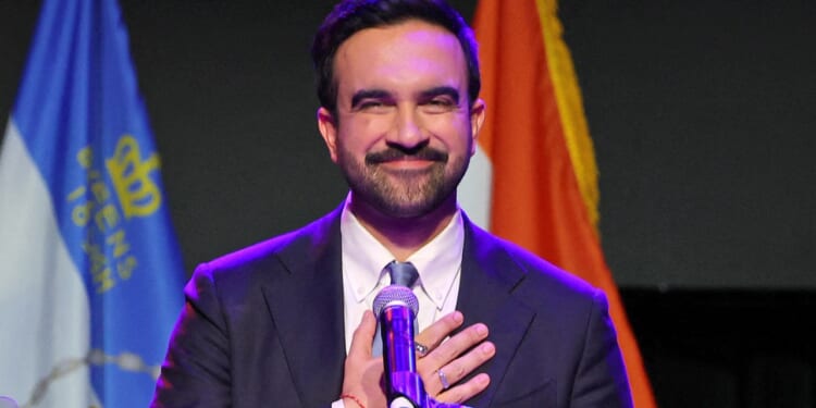 Zohran Mamdani claims 'there is no problem too large for government to solve'