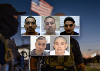 ‘Nightmares and PTSD’ prevented: ICE touts results of Texas crackdown