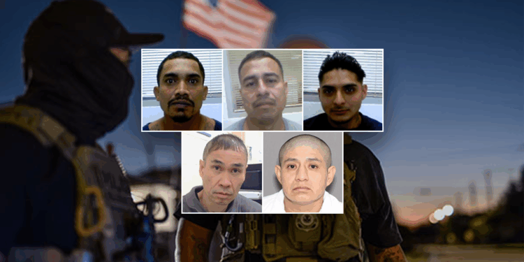 ‘Nightmares and PTSD’ prevented: ICE touts results of Texas crackdown