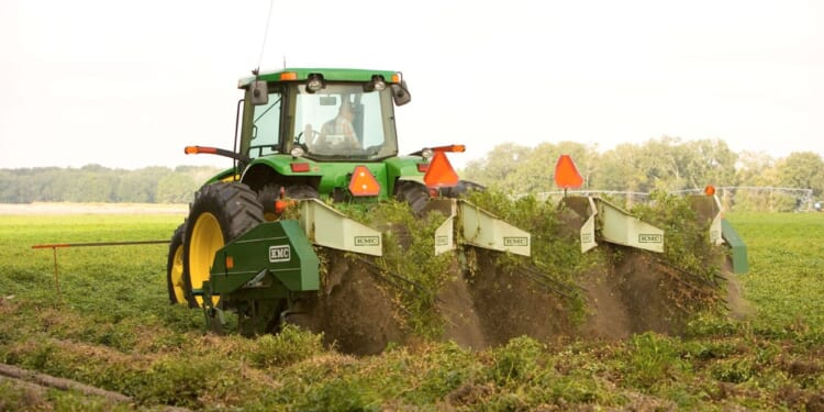 Appeals Court Upholds Florida Law Restricting Chinese Communist Land Purchases