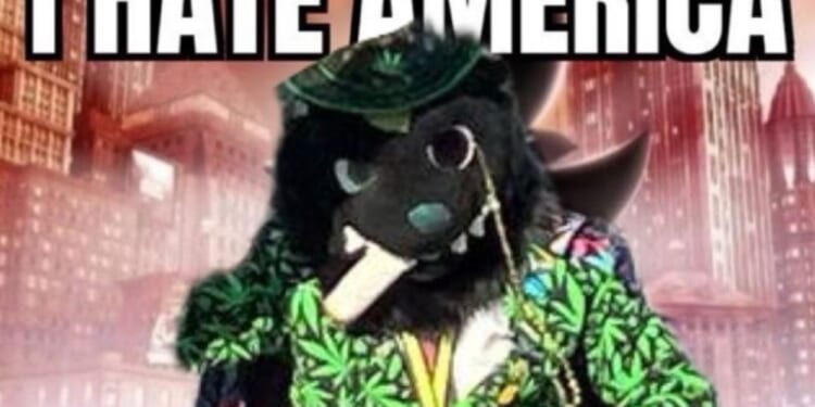 'Furry' Who Celebrated Charlie Kirk Assassination and Said US 'Deserved 9/11' Running for Congress in Michigan