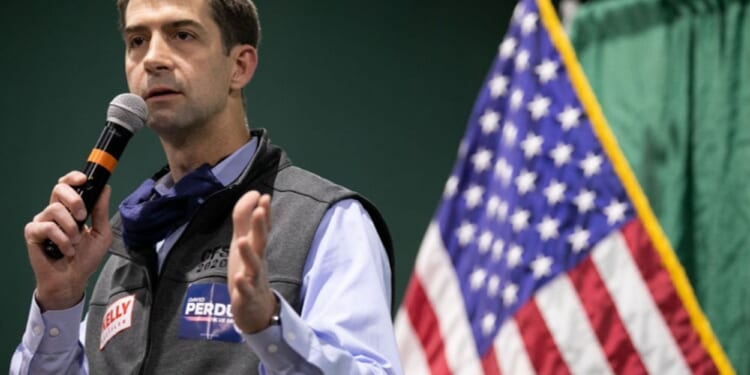 Cotton Presses DOJ to Investigate Code Pink's Terror, CCP Ties