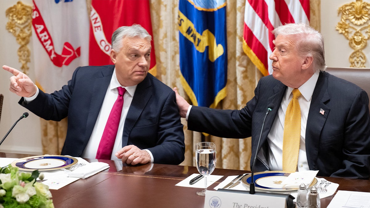 President Trump and Hungarian PM Orban at White House