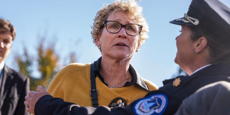 House Dem defends viral clash with Johnson after Capitol confrontation over shutdown