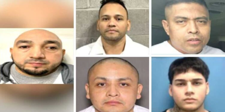 Exclusive: ICE rounds up pedophiles, rapist, other illegal offenders — ‘some of the worst crimes imaginable’