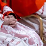 Pope Leo XIV plans to hold major meeting of cardinals in January