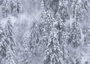 'It was me and God every night': Hunter was lost in the wilderness for nearly 3 weeks — until God told him 'let's go walking'