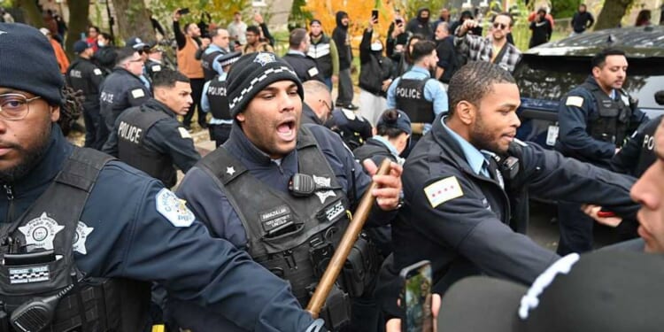 Border Patrol agents dodge bullets and bricks from leftist rioters in sanctuary city: DHS