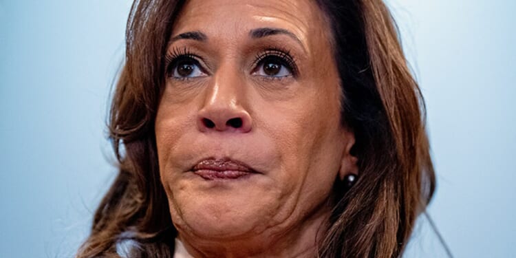 Liberals Insisted the Supreme Court Was ‘Plotting’ To Abolish Gay Marriage. They Were Wrong, Obviously.