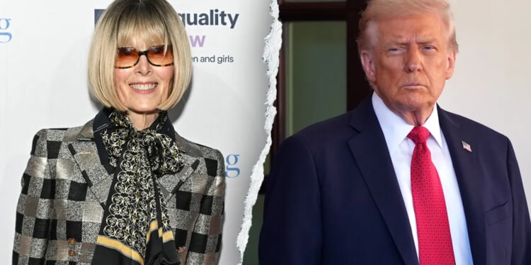 Trump asks Supreme Court to overturn $5M E Jean Carroll verdict