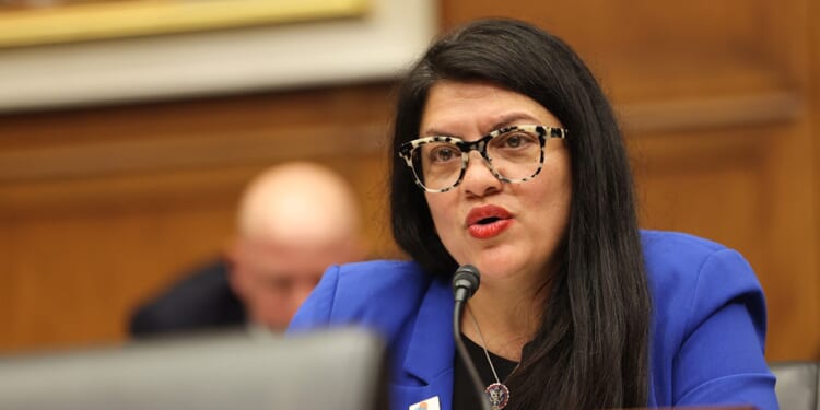 Tlaib-backed Senate candidate faces backlash after deleting anti-cop social media posts