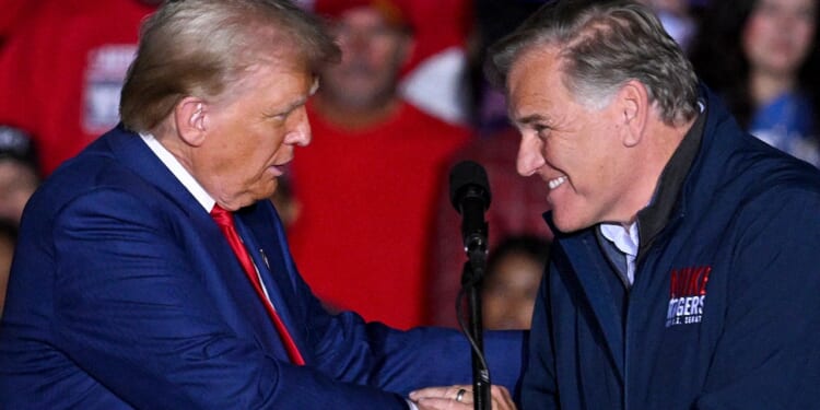 Former Michigan GOP co-chair launches longshot Senate bid against Rogers