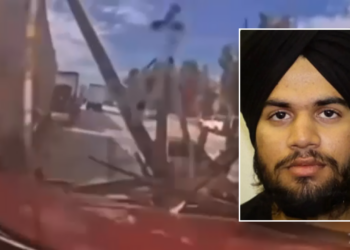 Federal court blocks DOT restrictions on immigrant truck driver's licenses